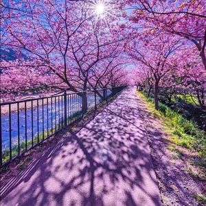 Meet your Posher, Ronel